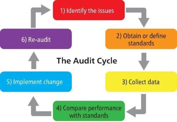 Audit Essay in MSK Ultrasound - Sports Medicine Ultrasound Group